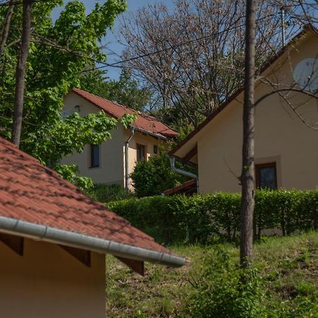 Tulipan Apartman Еґер Екстер'єр фото