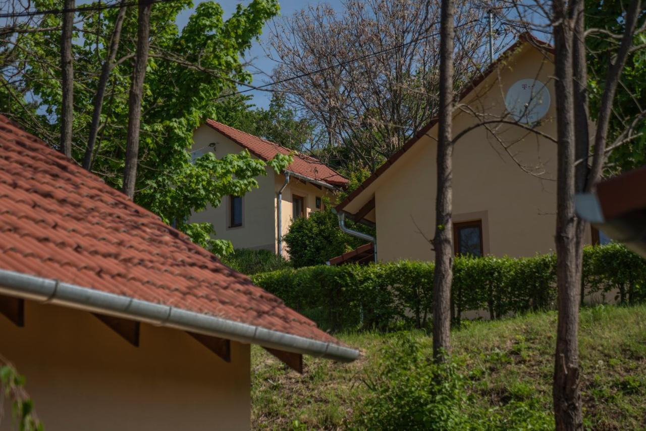 Tulipan Apartman Еґер Екстер'єр фото